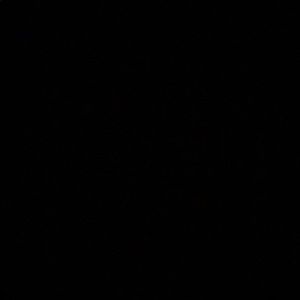 Meet your Posher, Jerriel